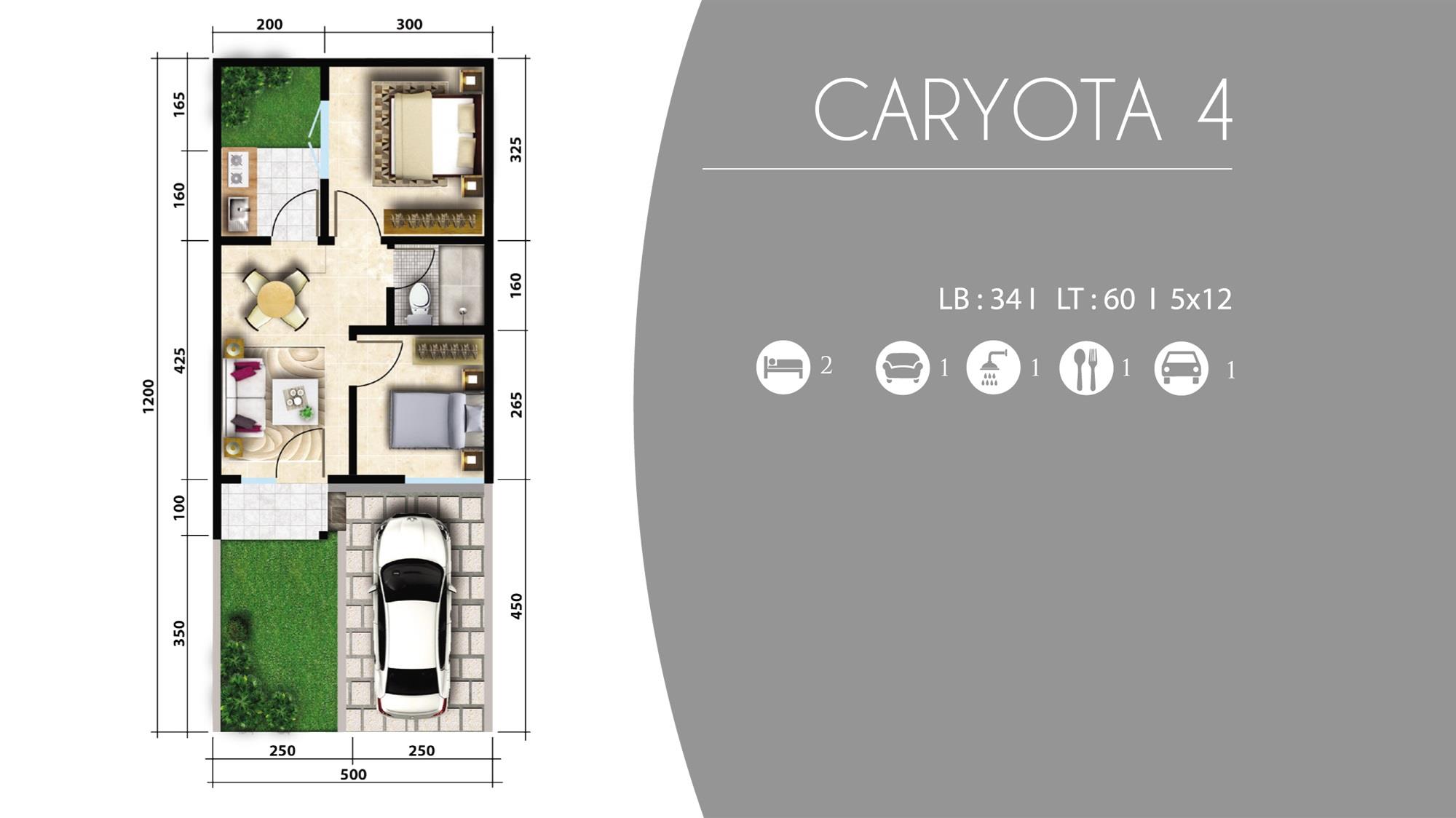 Type Caryota